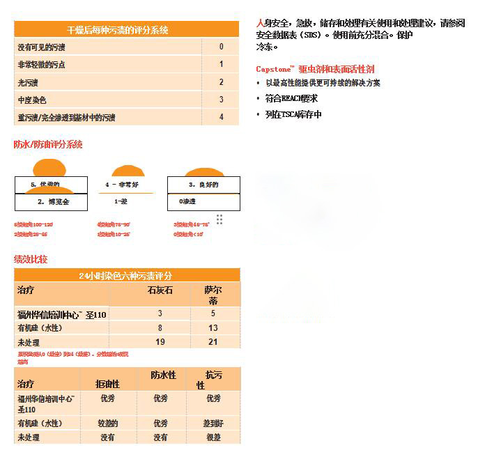 頂石Capstone? ST-110(圖2)